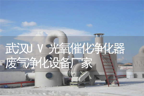 武汉UV光氧催化净化器 废气净化设备厂家